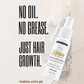 A promotional product graphic for a scalp and hair growth spray bottle. The bottle is white with green and yellow branding, shown alongside large text reading 'NO OIL.