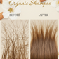 Organic Hair Growth Shampoo | Soapberry