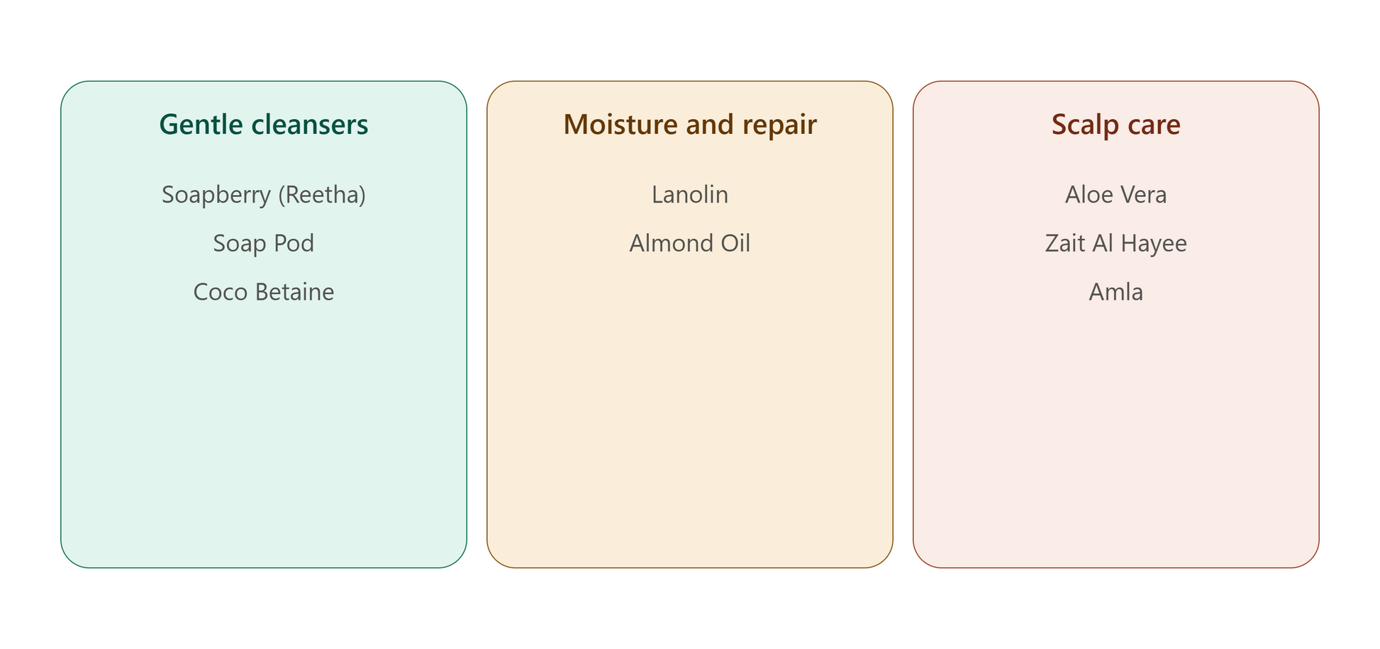 Grow By 8 organic shampoo ingredients grouped by function including Reetha and Amla
