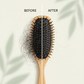 Hair Fall Brush Before After