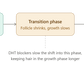 Hair growth cycle stages showing where DHT blockers slow premature shedding