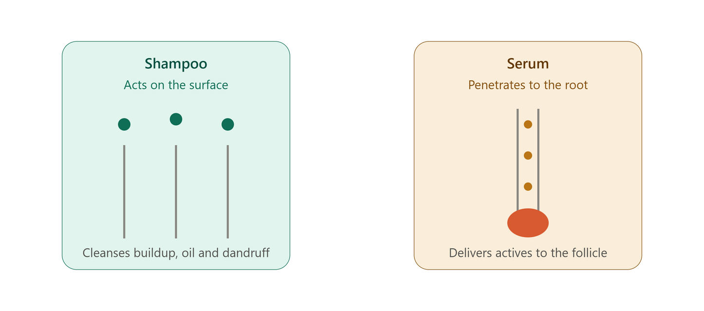 Comparison of how iGrow serum and Grow By 8 shampoo act differently on the scalp