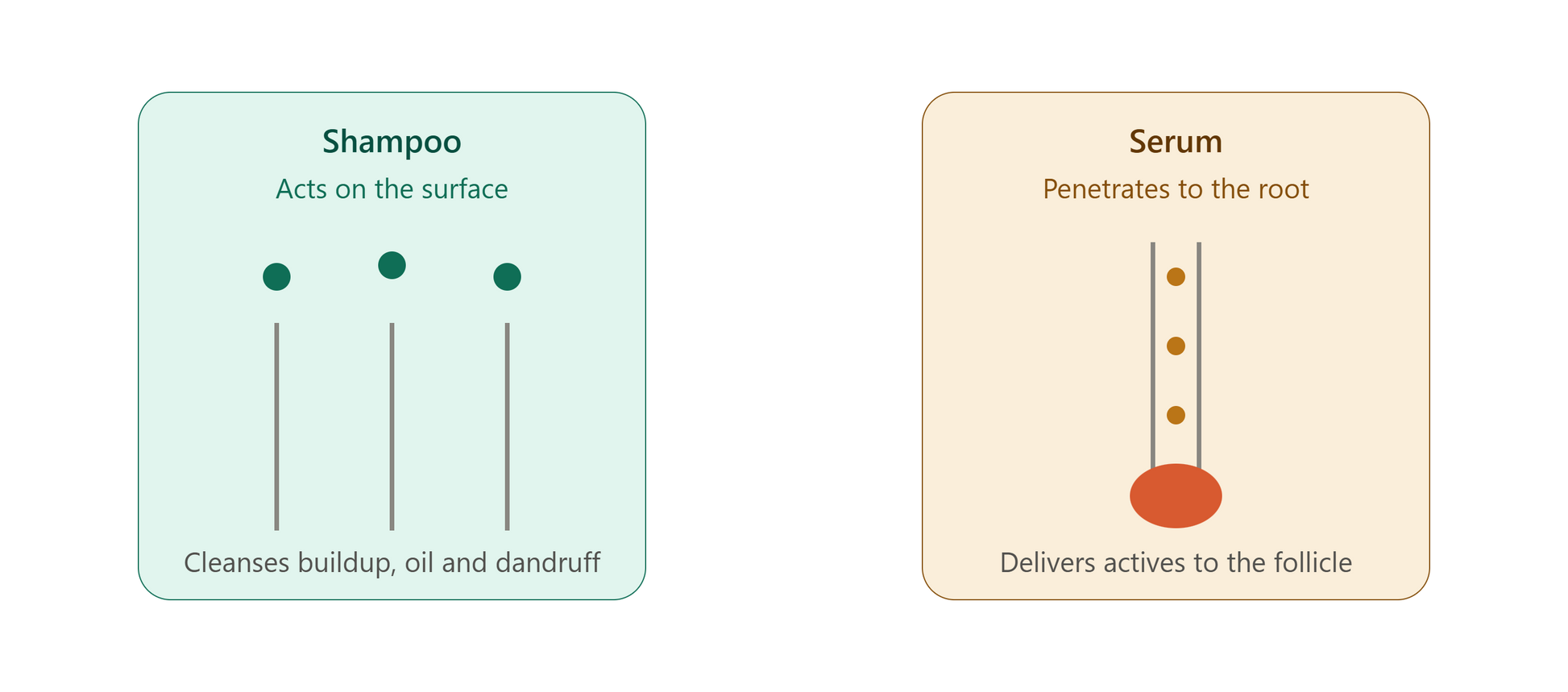 Comparison of how iGrow serum and Grow By 8 shampoo act differently on the scalp