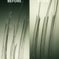 Snake Oil Before After